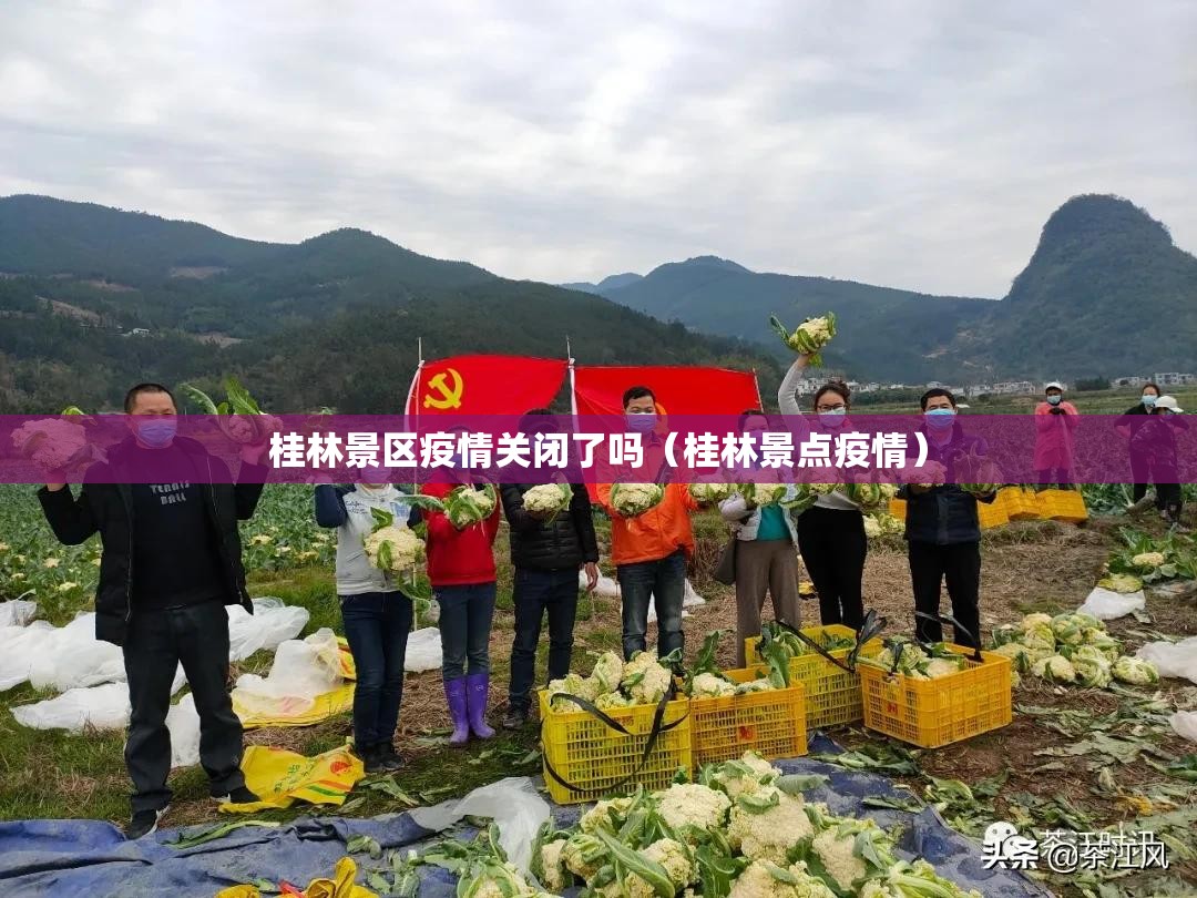 桂林景区疫情关闭了吗（桂林景点疫情）
