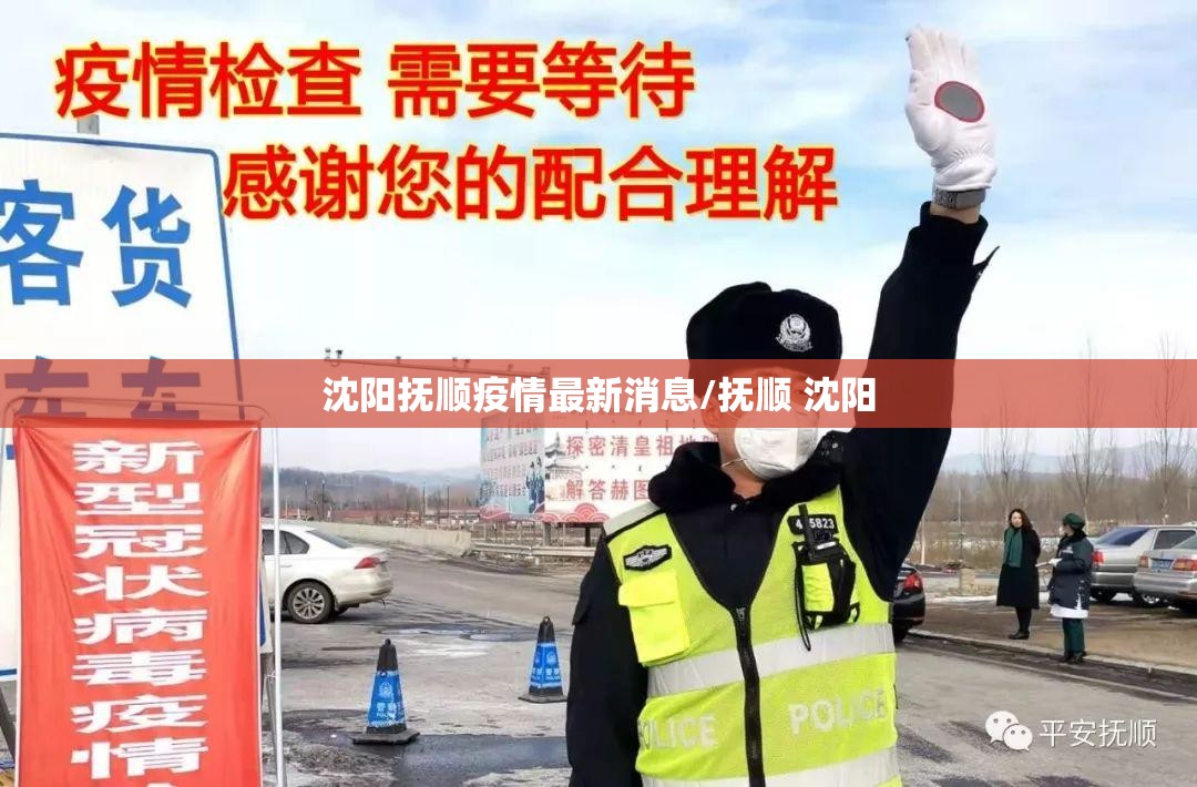 沈阳抚顺疫情最新消息/抚顺 沈阳