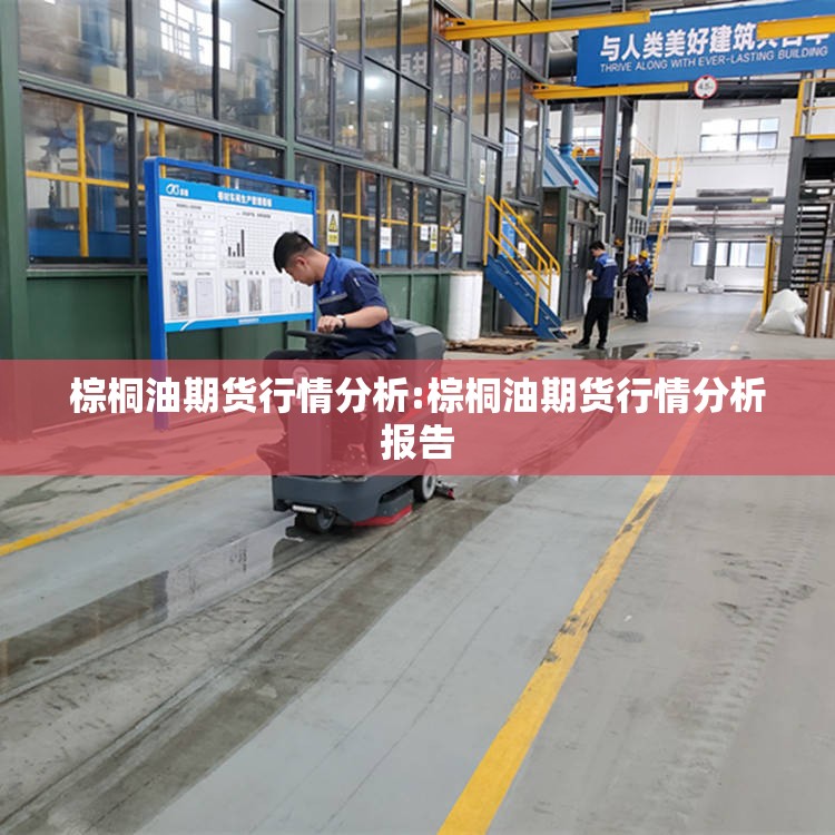 棕桐油期货行情分析:棕桐油期货行情分析报告