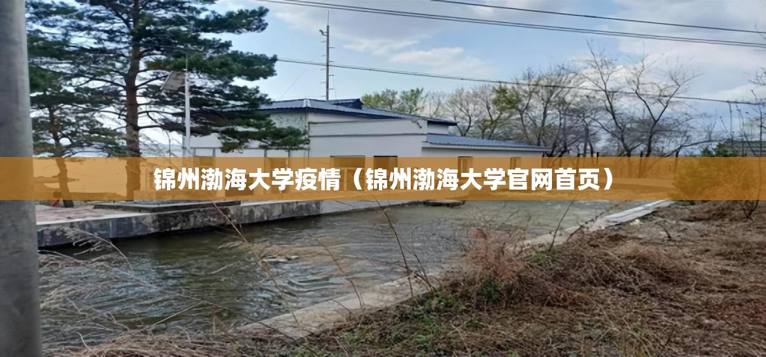 锦州渤海大学疫情（锦州渤海大学官网首页）