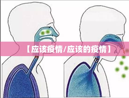 【应该疫情/应该的疫情】 【应该疫情/应该的疫情】