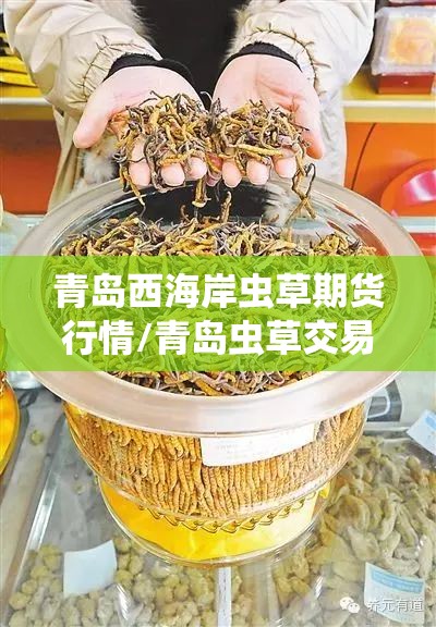 青岛西海岸虫草期货行情/青岛虫草交易市场 青岛西海岸虫草期货行情/青岛虫草交易市场