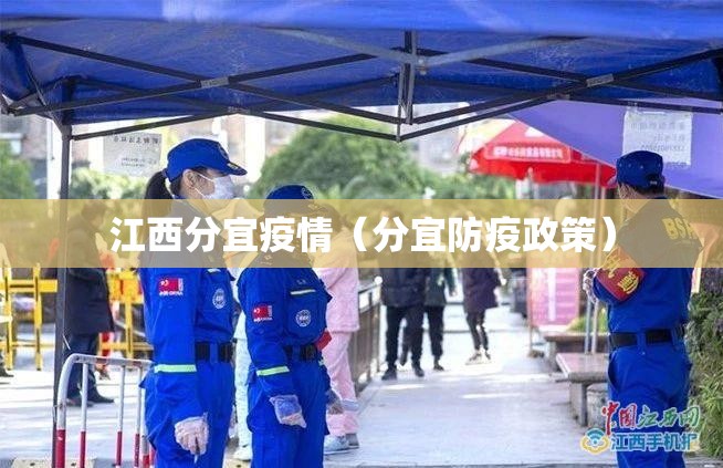江西分宜疫情（分宜防疫政策）