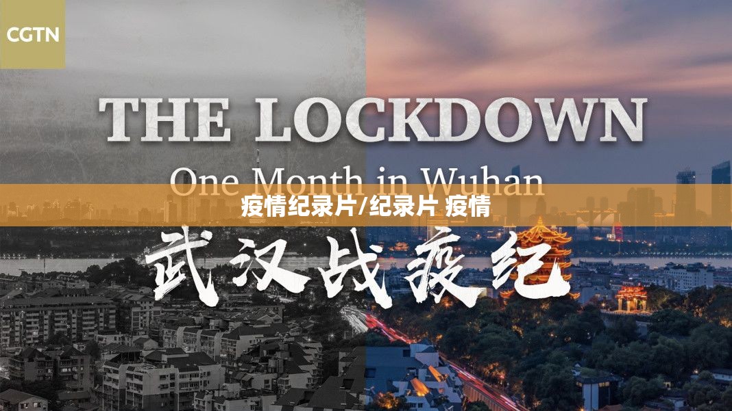 疫情纪录片/纪录片 疫情 疫情纪录片/纪录片 疫情