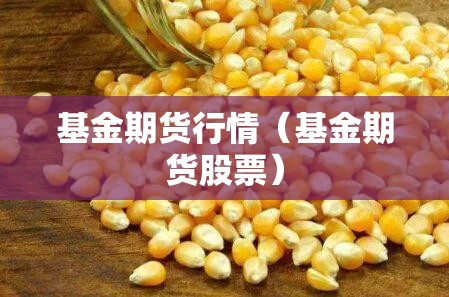 基金期货行情（基金期货股票）