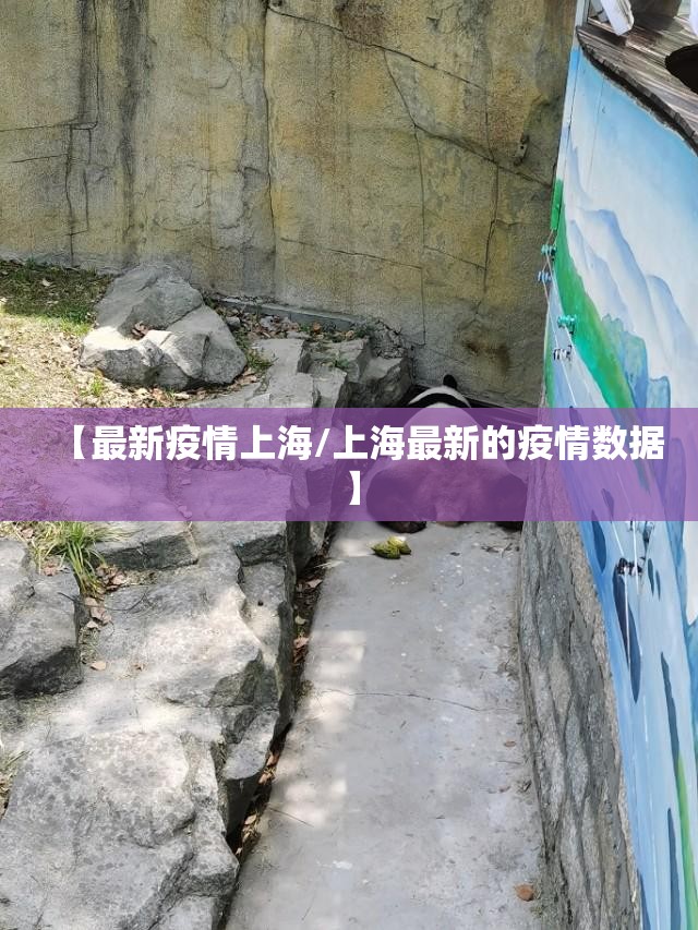 【最新疫情上海/上海最新的疫情数据】