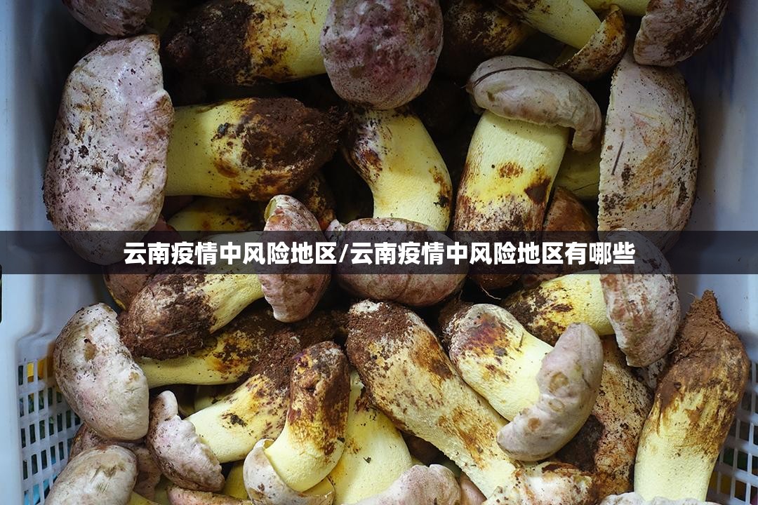 云南疫情中风险地区/云南疫情中风险地区有哪些