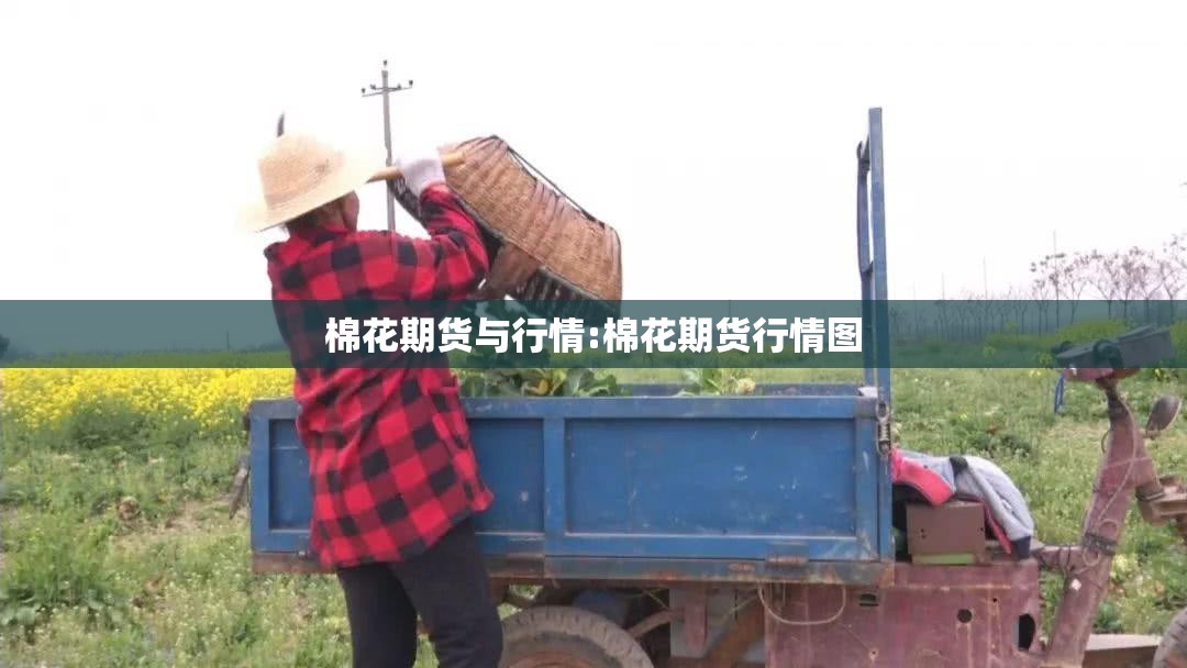 棉花期货与行情:棉花期货行情图 棉花期货与行情:棉花期货行情图
