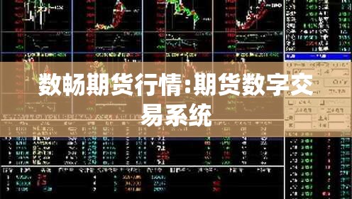 数畅期货行情:期货数字交易系统
