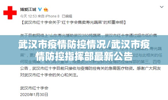 武汉市疫情防控情况/武汉市疫情防控指挥部最新公告 武汉市疫情防控情况/武汉市疫情防控指挥部最新公告
