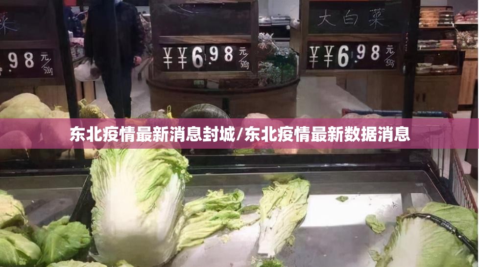 东北疫情最新消息封城/东北疫情最新数据消息