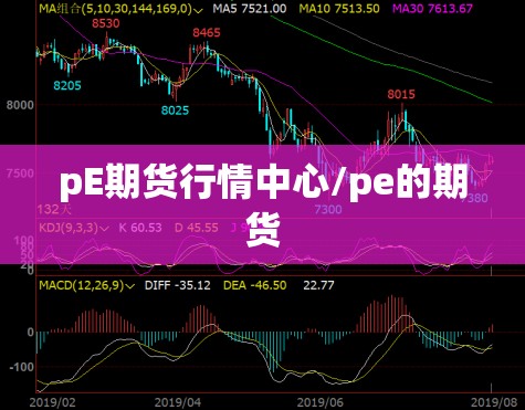 pE期货行情中心/pe的期货