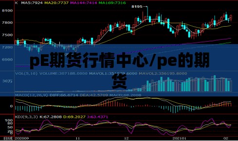 pE期货行情中心/pe的期货