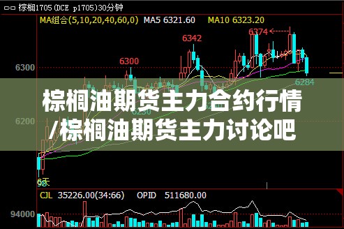 棕榈油期货主力合约行情/棕榈油期货主力讨论吧