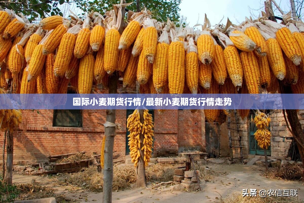 国际小麦期货行情/最新小麦期货行情走势