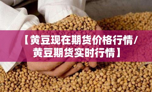 【黄豆现在期货价格行情/黄豆期货实时行情】
