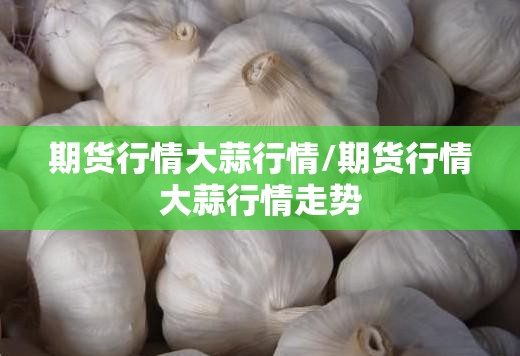 期货行情大蒜行情/期货行情大蒜行情走势