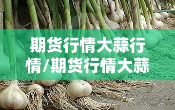 期货行情大蒜行情/期货行情大蒜行情走势