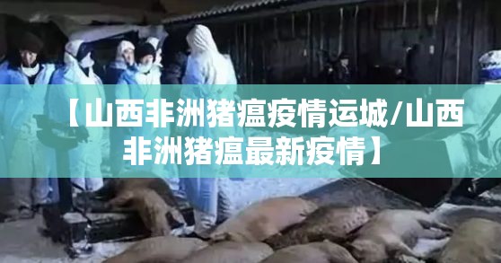 【山西非洲猪瘟疫情运城/山西非洲猪瘟最新疫情】