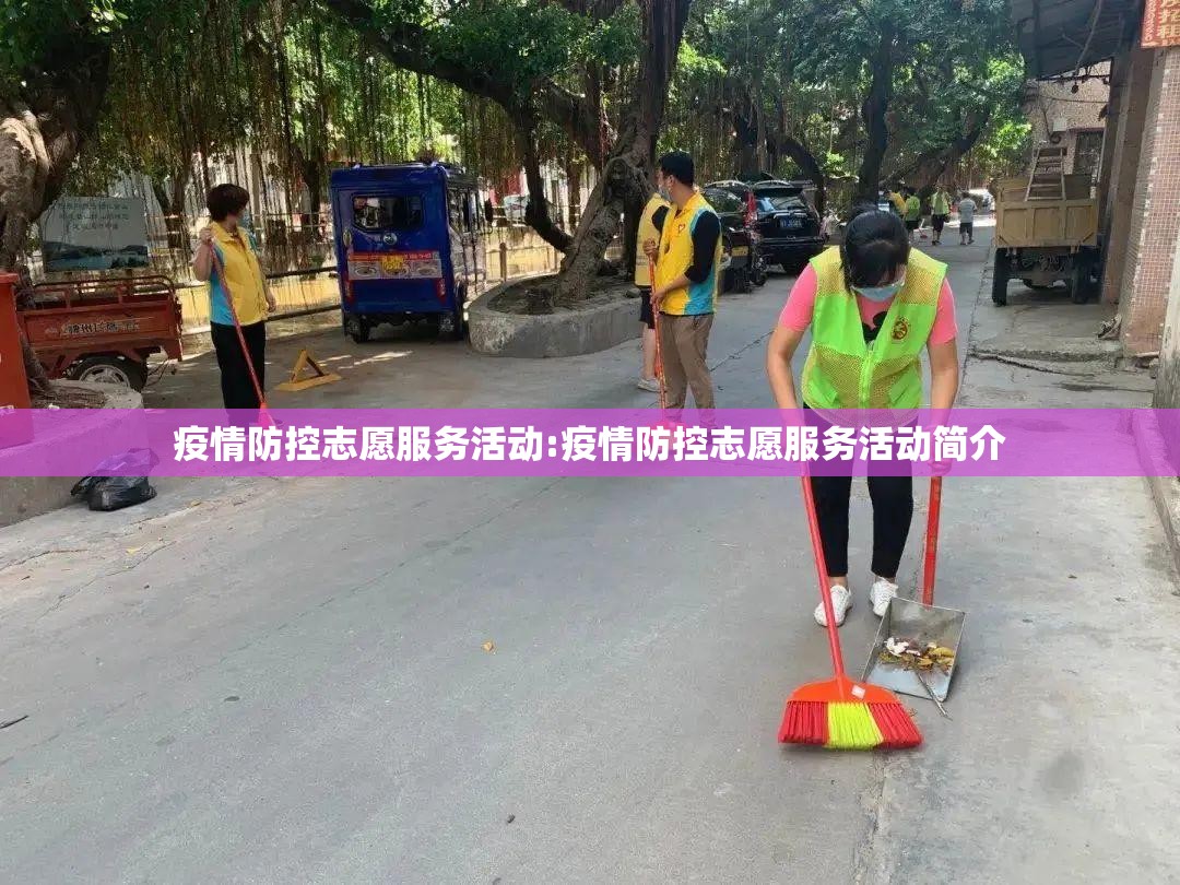 疫情防控志愿服务活动:疫情防控志愿服务活动简介