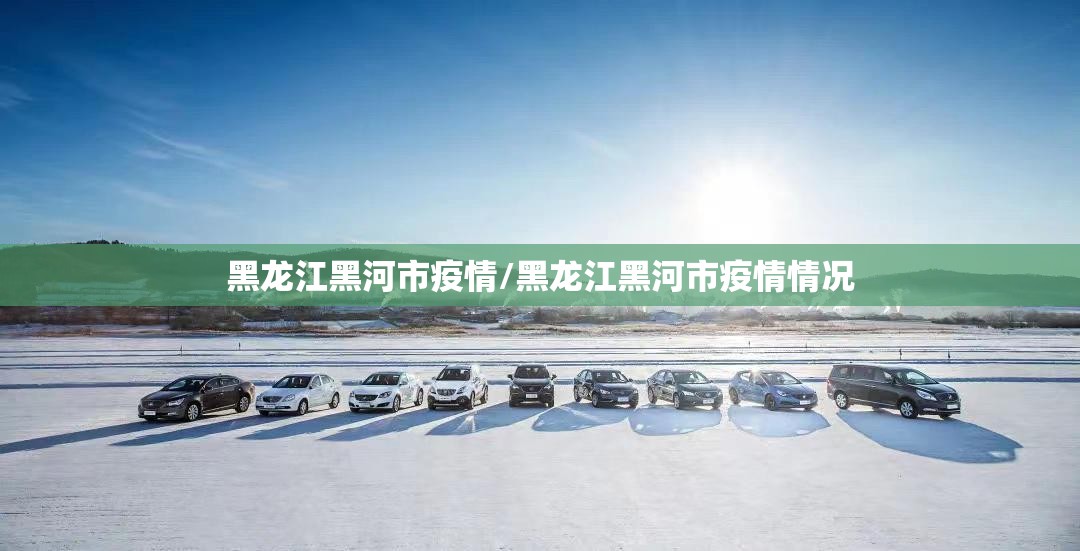 黑龙江黑河市疫情/黑龙江黑河市疫情情况 黑龙江黑河市疫情/黑龙江黑河市疫情情况