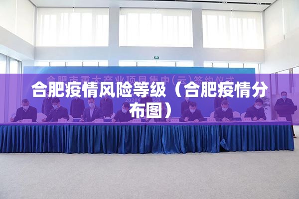 合肥疫情风险等级（合肥疫情分布图）