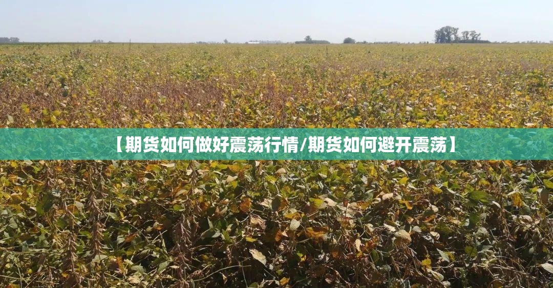 【期货如何做好震荡行情/期货如何避开震荡】