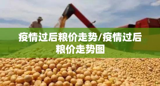 疫情过后粮价走势/疫情过后粮价走势图 疫情过后粮价走势/疫情过后粮价走势图