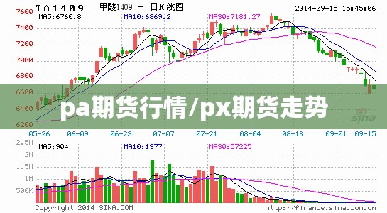 pa期货行情/px期货走势