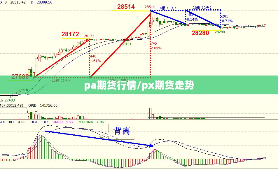 pa期货行情/px期货走势