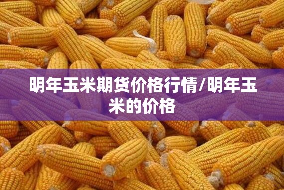 明年玉米期货价格行情/明年玉米的价格 明年玉米期货价格行情/明年玉米的价格