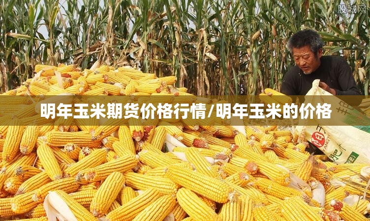 明年玉米期货价格行情/明年玉米的价格 明年玉米期货价格行情/明年玉米的价格