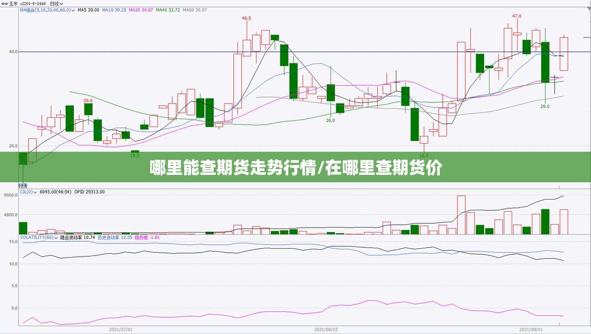 哪里能查期货走势行情/在哪里查期货价