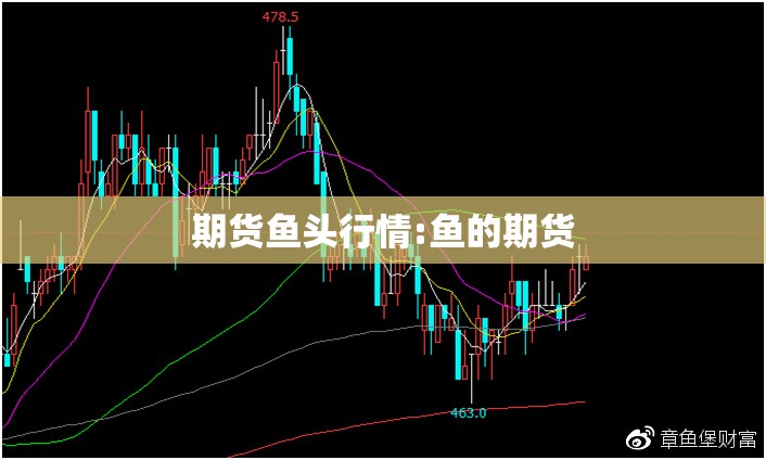 期货鱼头行情:鱼的期货 期货鱼头行情:鱼的期货