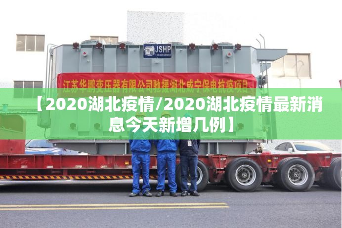 【2020湖北疫情/2020湖北疫情最新消息今天新增几例】