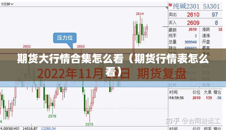 期货大行情合集怎么看（期货行情表怎么看）