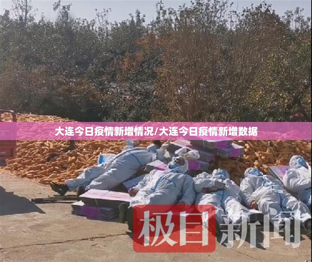 大连今日疫情新增情况/大连今日疫情新增数据 大连今日疫情新增情况/大连今日疫情新增数据