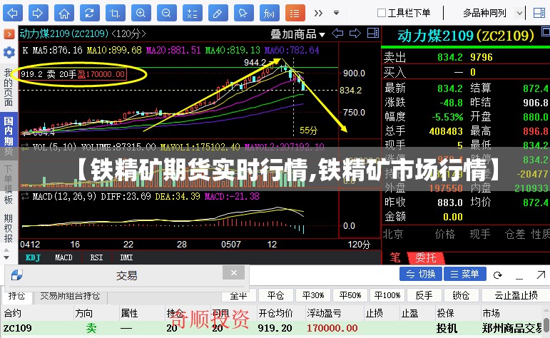 【铁精矿期货实时行情,铁精矿市场行情】