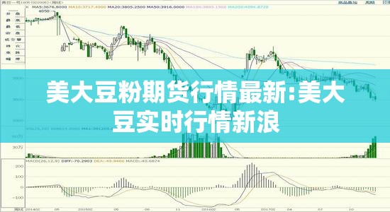 美大豆粉期货行情最新:美大豆实时行情新浪 美大豆粉期货行情最新:美大豆实时行情新浪