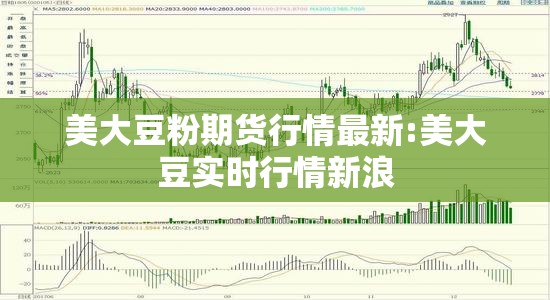 美大豆粉期货行情最新:美大豆实时行情新浪 美大豆粉期货行情最新:美大豆实时行情新浪