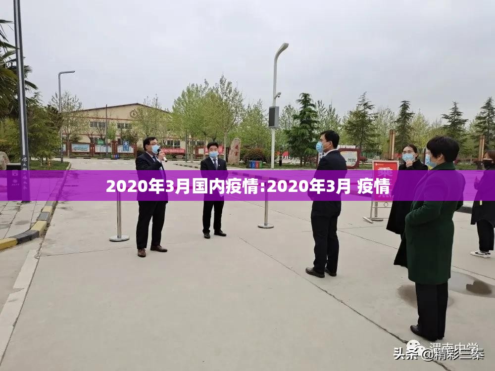2020年3月国内疫情:2020年3月 疫情