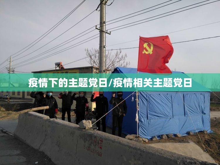 疫情下的主题党日/疫情相关主题党日 疫情下的主题党日/疫情相关主题党日