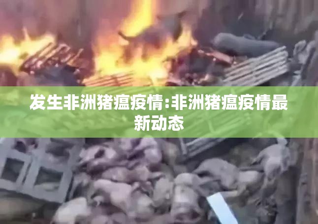 发生非洲猪瘟疫情:非洲猪瘟疫情最新动态 发生非洲猪瘟疫情:非洲猪瘟疫情最新动态
