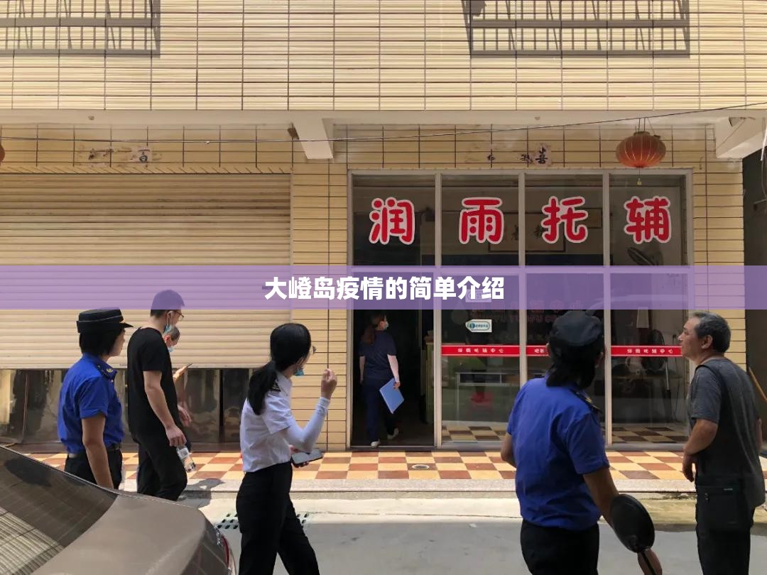 大嶝岛疫情的简单介绍