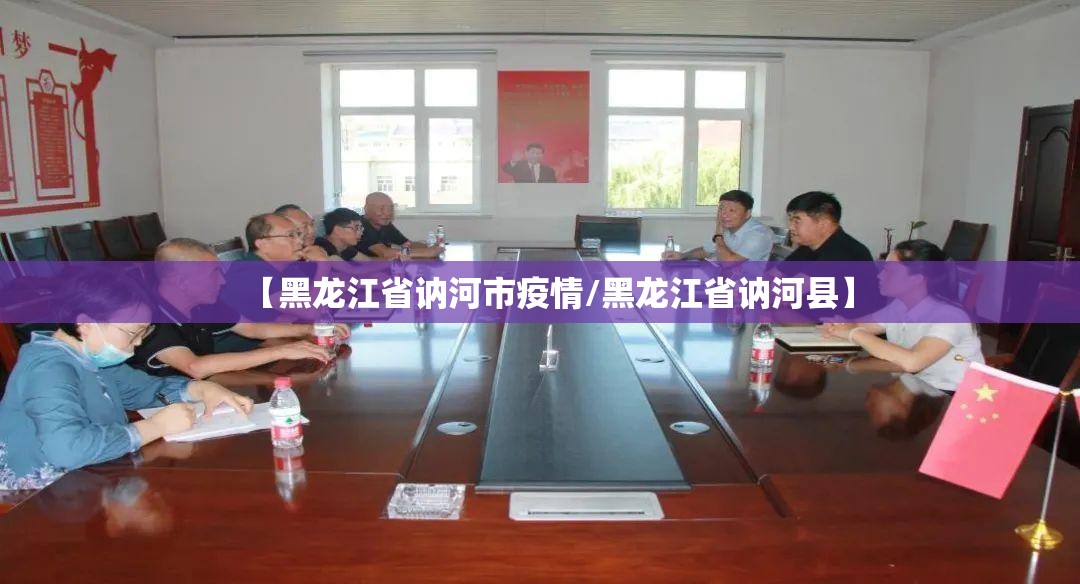 【黑龙江省讷河市疫情/黑龙江省讷河县】 【黑龙江省讷河市疫情/黑龙江省讷河县】
