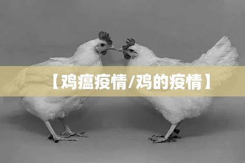【鸡瘟疫情/鸡的疫情】 【鸡瘟疫情/鸡的疫情】