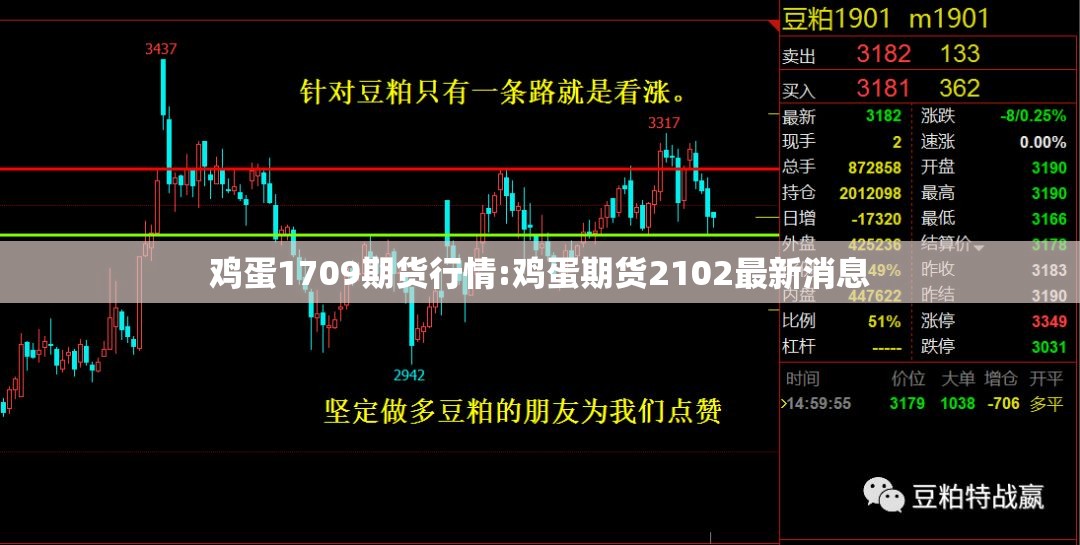 鸡蛋1709期货行情:鸡蛋期货2102最新消息