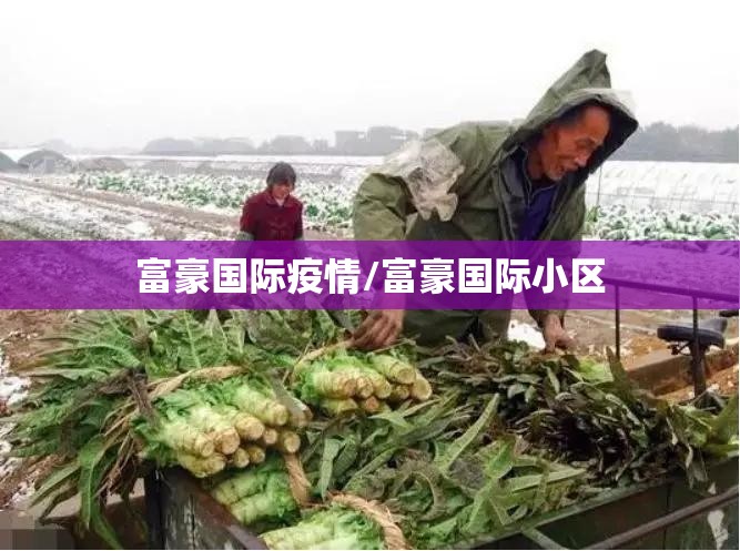 富豪国际疫情/富豪国际小区