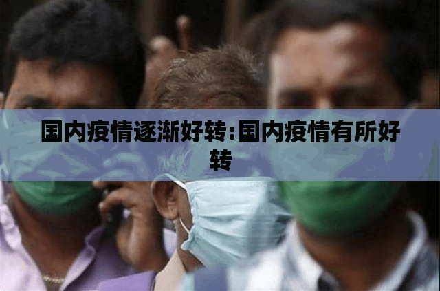 国内疫情逐渐好转:国内疫情有所好转