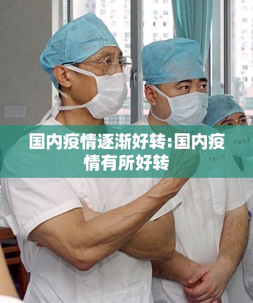国内疫情逐渐好转:国内疫情有所好转
